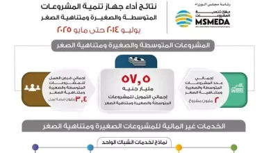جهاز تنمية المشروعات