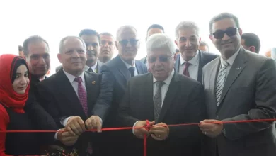 التعليم العالي