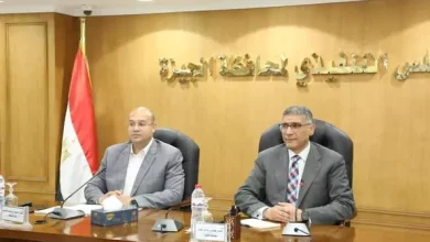 محافظ الجيزة