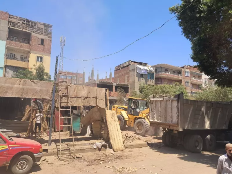  الجيزة 