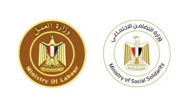 التضامن الاجتماعي