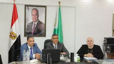 محافظ الجيزة