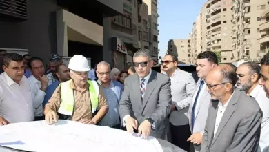 محافظ الجيزة