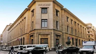 تحويلات المصريين