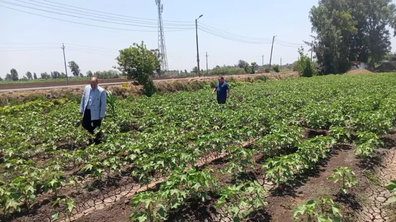 وزارة الزراعة