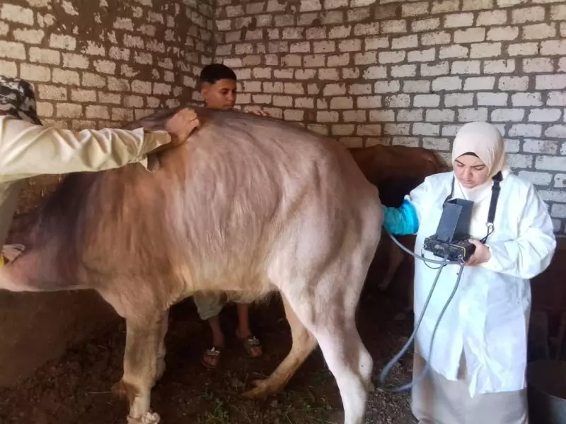 الزراعة