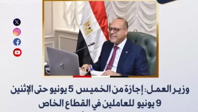 وزير العمل