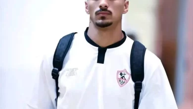 حسام عبد المجيد