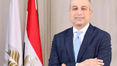 محمد أبو السعود