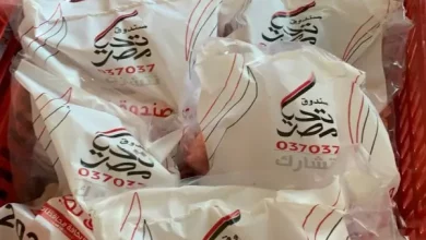 صندوق التأمين