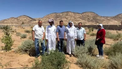 بحوث الصحراء