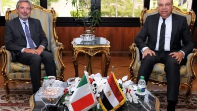 تعاون مصري–إيطالي