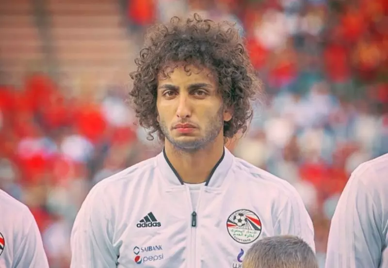 عمرو وردة 