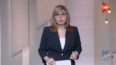 لميس الحديدي