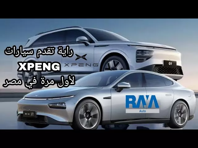 راية أوتو 
