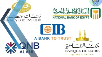 البنوك المصرية