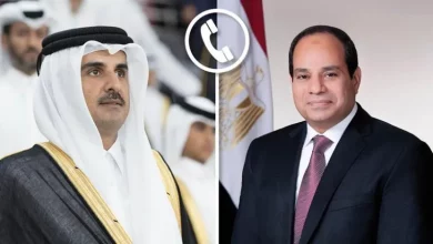 السيسي