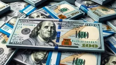 سعر الدولار