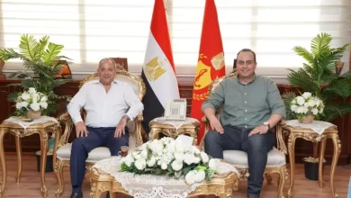 الرعاية الصحية