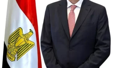 الزراعة