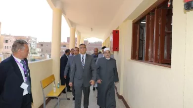 محافظ الجيزة