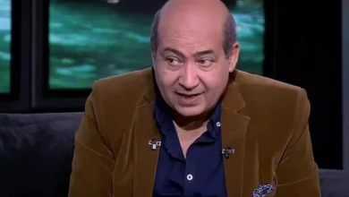 طارق الشناوي