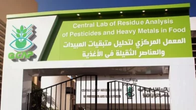 المعمل المركزي