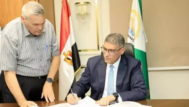 محافظ الجيزة