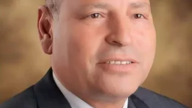 محافظ القاهرة