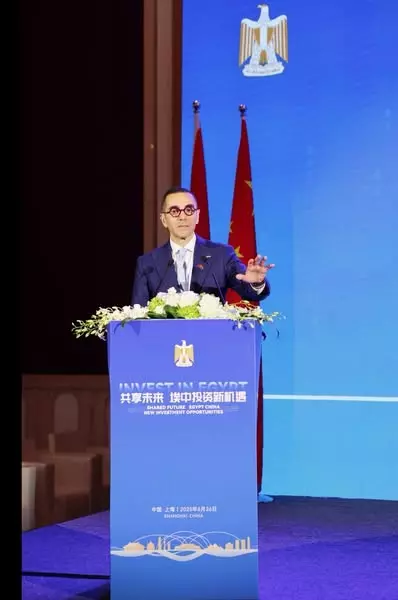 وزير الاستثمار