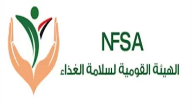 الهيئة القومية