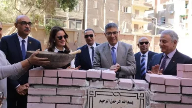 محافظ الجيزة
