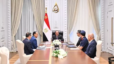 السيسي