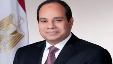 السيسي
