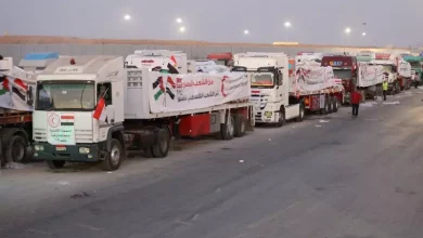 زاد العزة