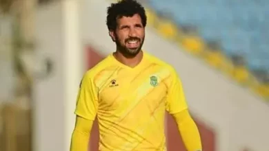 المهدي سليمان