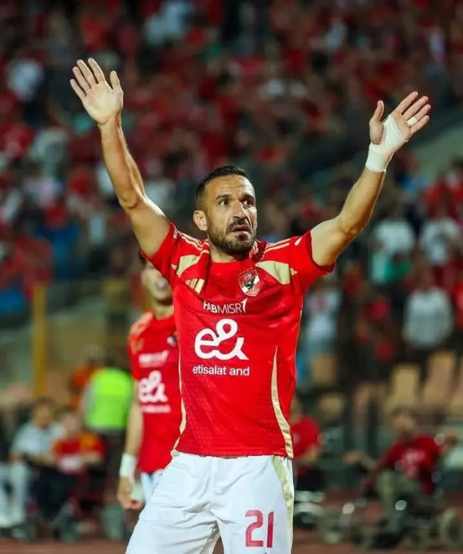 علي معلول