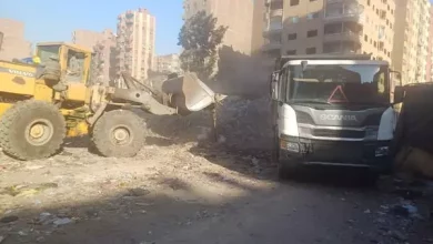 محافظ الجيزة