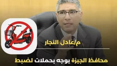 محافظ الجيزة
