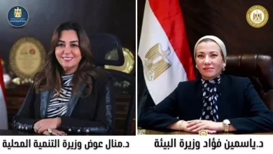 البيئة