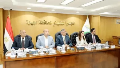 محافظ الجيزة
