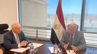 وزير الكهرباء