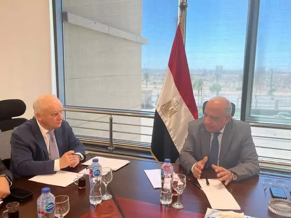 وزير الكهرباء