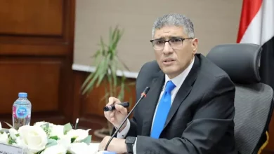 محافظ الجيزة
