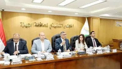 محافظ الجيزة