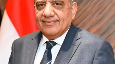 وزير الكهرباء 