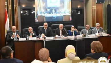وزير الشئون النيابية