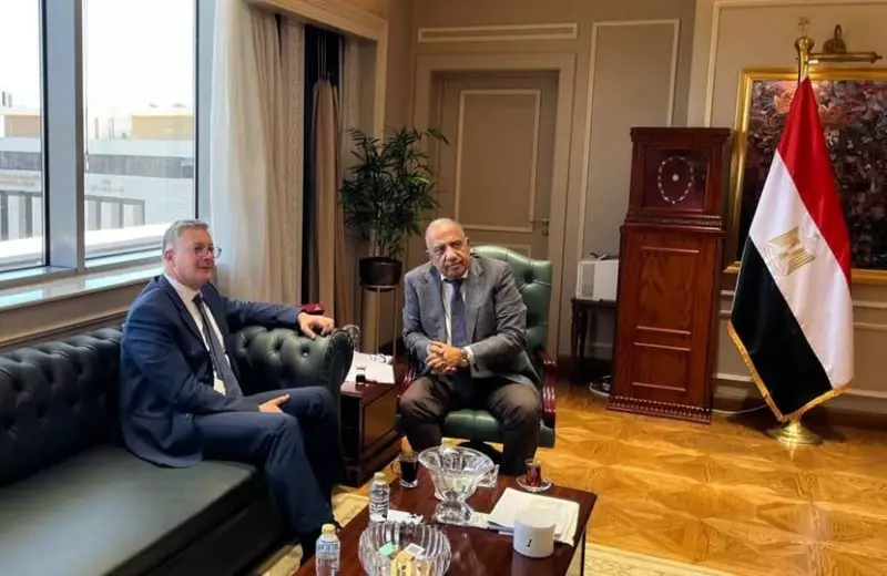 الكهرباء