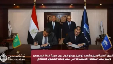 الفريق أسامة ربيع