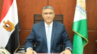 الجيزة